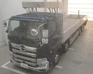 HINO TRUCK 2021 white